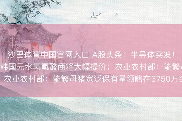 沙巴体育中国官网入口 A股头条：半导体突发！事关三星、SK海力士，韩国无水氢氟酸商将大幅提价；农业农村部：能繁母猪宽泛保有量领略在3750万头傍边