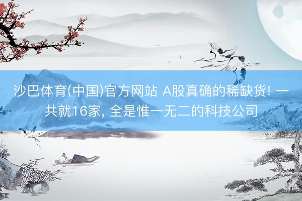 沙巴体育(中国)官方网站 A股真确的稀缺货! 一共就16家， 全是惟一无二的科技公司