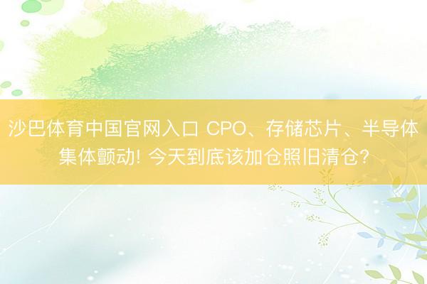 沙巴体育中国官网入口 CPO、存储芯片、半导体集体颤动! 今天到底该加仓照旧清仓?