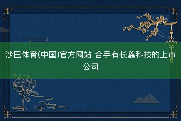 沙巴体育(中国)官方网站 合手有长鑫科技的上市公司