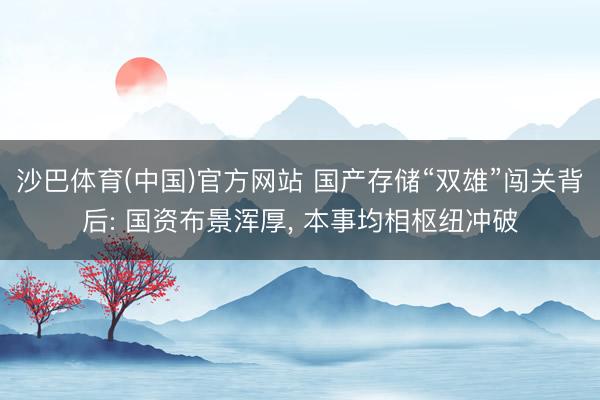 沙巴体育(中国)官方网站 国产存储“双雄”闯关背后: 国资布景浑厚， 本事均相枢纽冲破