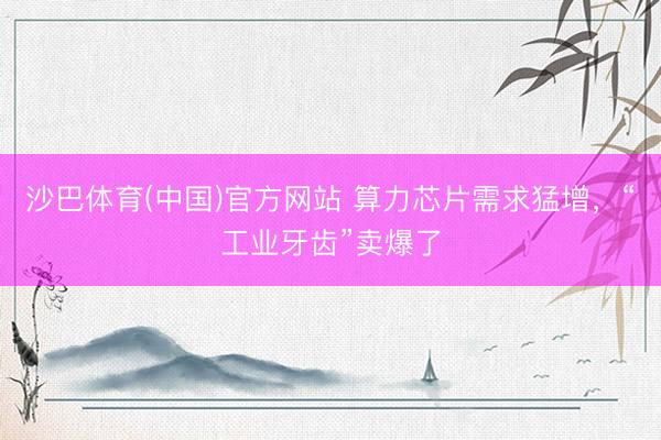 沙巴体育(中国)官方网站 算力芯片需求猛增，“工业牙齿”卖爆了