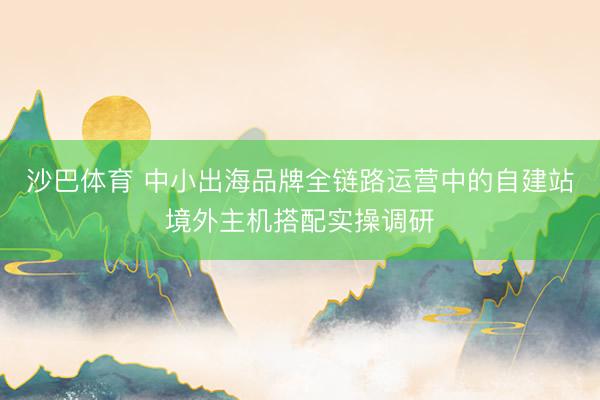 沙巴体育 中小出海品牌全链路运营中的自建站境外主机搭配实操调研