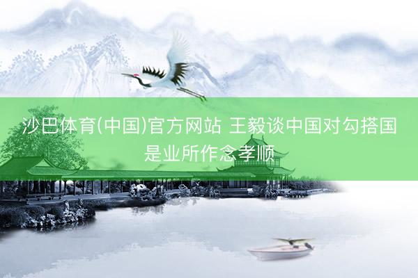 沙巴体育(中国)官方网站 王毅谈中国对勾搭国是业所作念孝顺